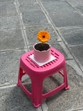 Flower Pot Cake