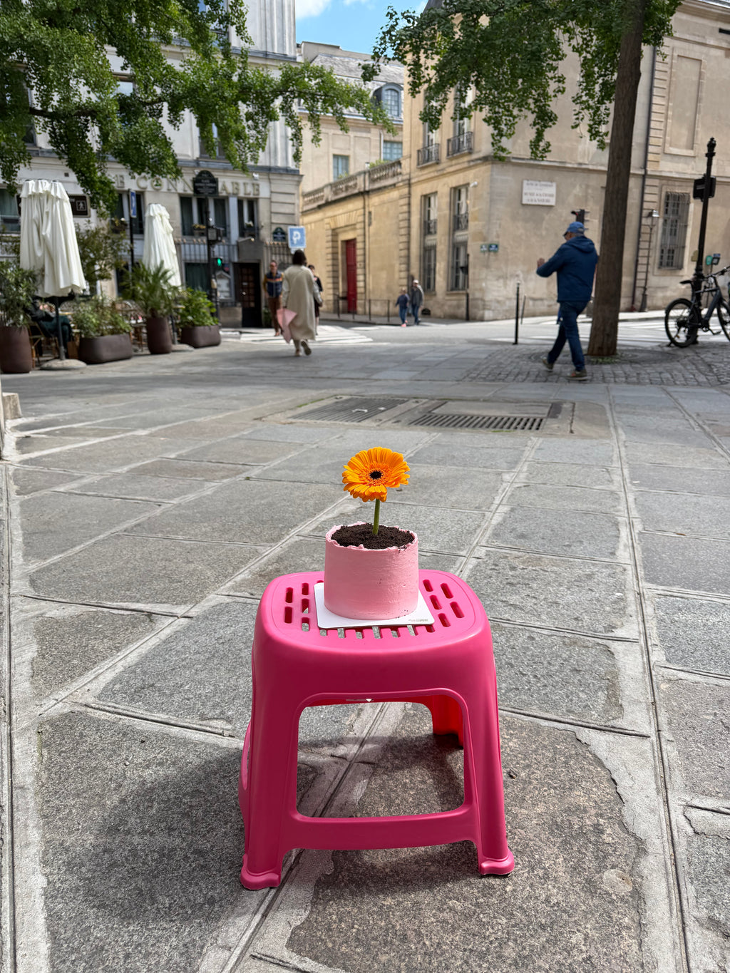 Flower Pot Cake