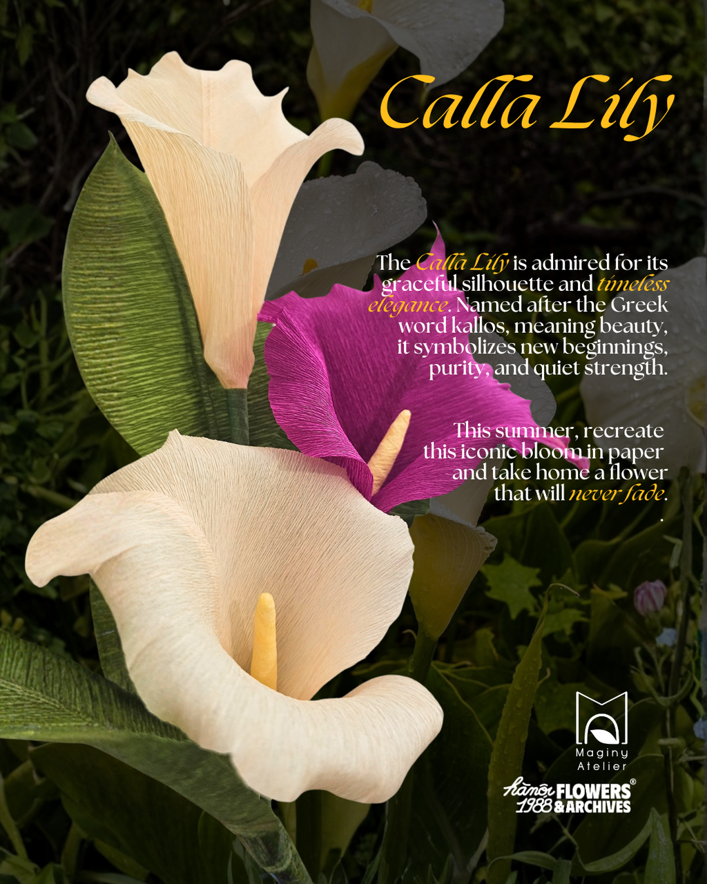 Summer Workshop: DIY Paper Calla Lily
